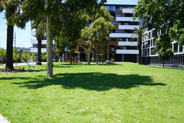 A green park with a playground in the background and apartments in the distance